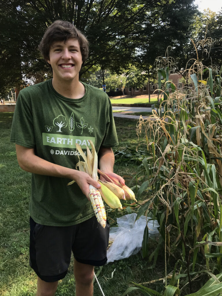 Ty Cryan holds three ears of shucked Catawba corn, with more corn plants growing in the background.