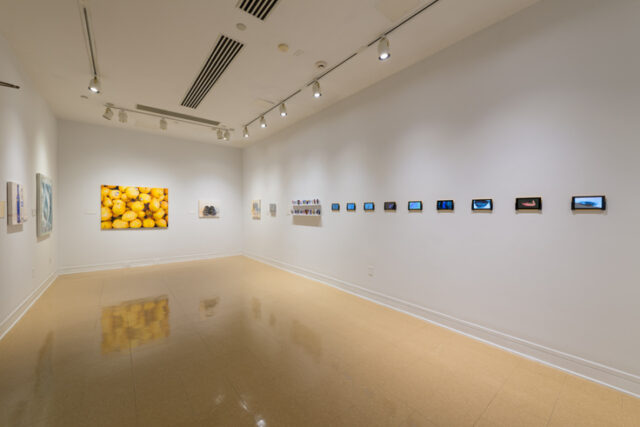 Installation view of Revisit in Smith Gallery