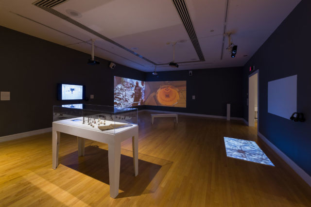 Hiwa K, Installation view, Van Every/Smith Galleries at Davidson College