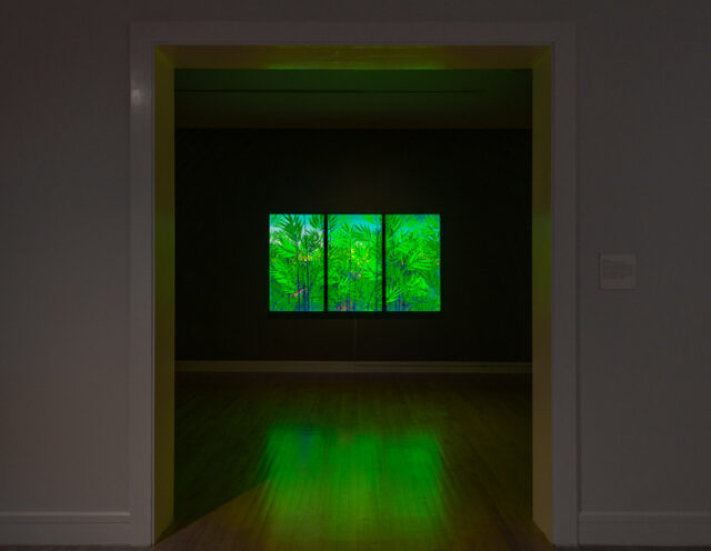Installation view of Bamboo Forest, Van Every Smith Galleries, Dietrick & Mundy