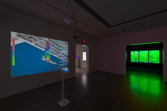 Installation view of Speed of Thinking, Van Every Smith Galleries, Davidson College