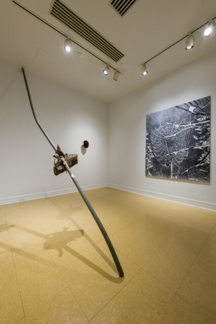 Harold Mendez, installation view of Smith Gallery