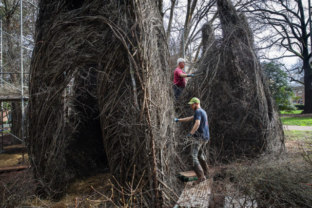 Patrick Dougherty - Building a Stickwork Legacy at Davidson