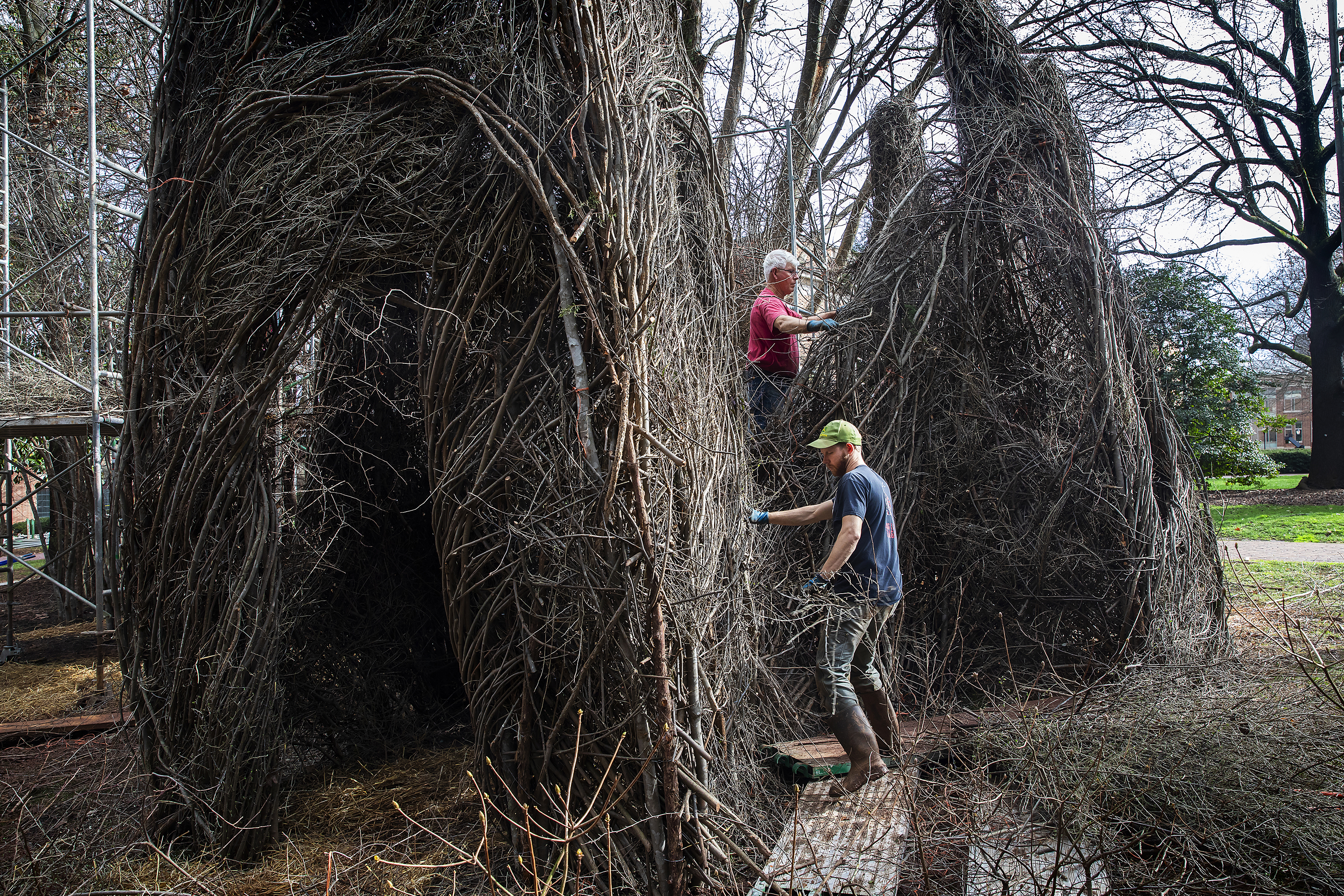 Patrick Dougherty – Building a Stickwork Legacy at Davidson