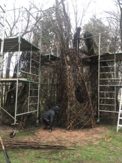 Patrick Dougherty - Building a Stickwork Legacy at Davidson