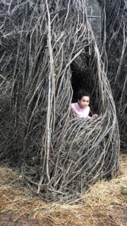 Patrick Dougherty - Building a Stickwork Legacy at Davidson