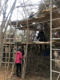 Patrick Dougherty - Building a Stickwork Legacy at Davidson