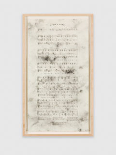 Dixie's Land (1859-2001), 2002, detail