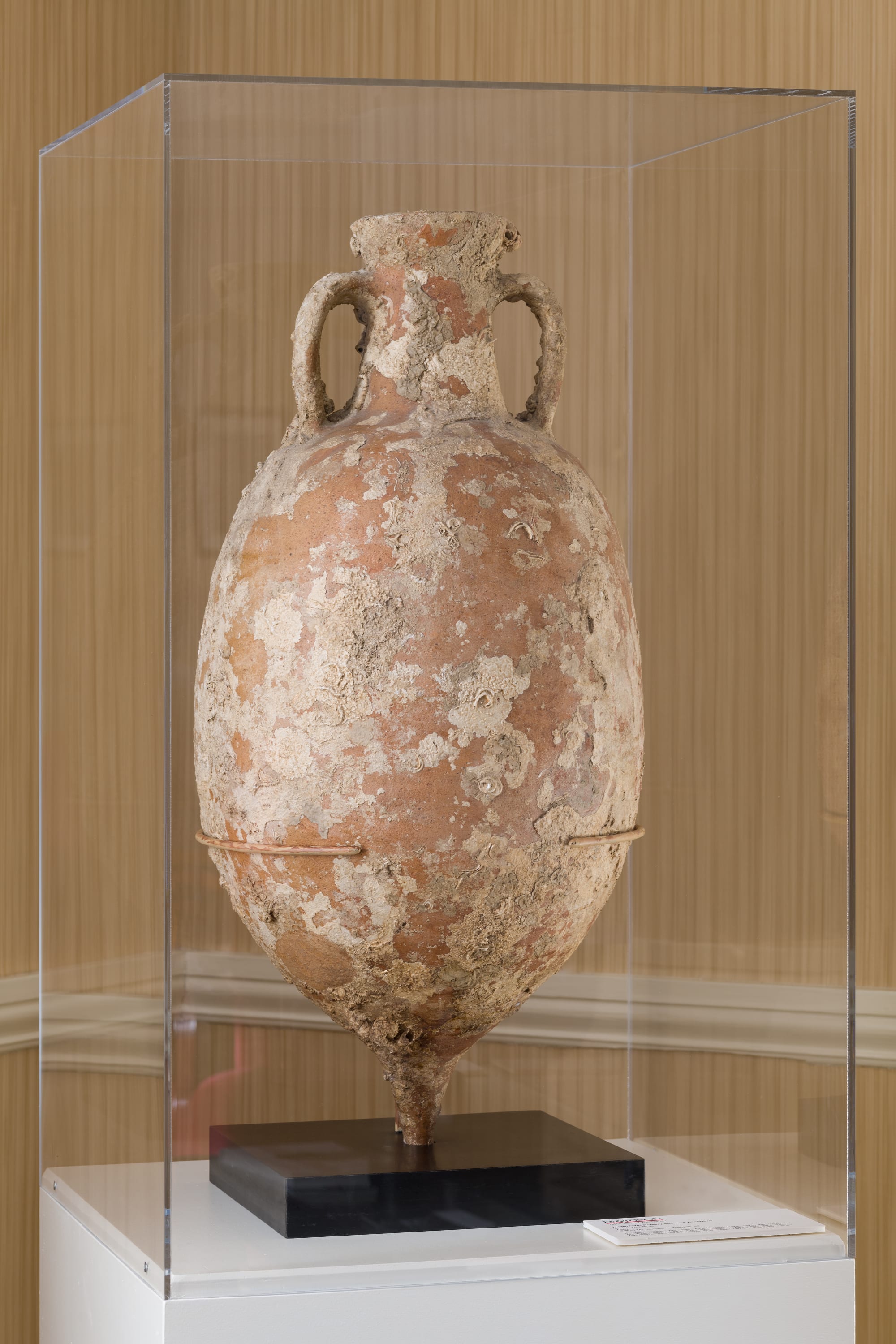 Seen on Campus: Storage Amphora