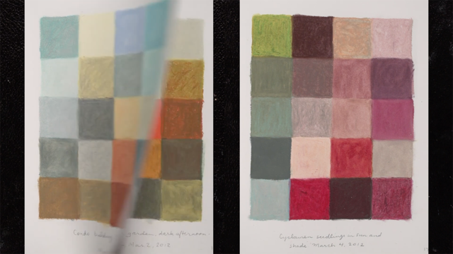 Felicia van Bork, The Color Grid Movie
