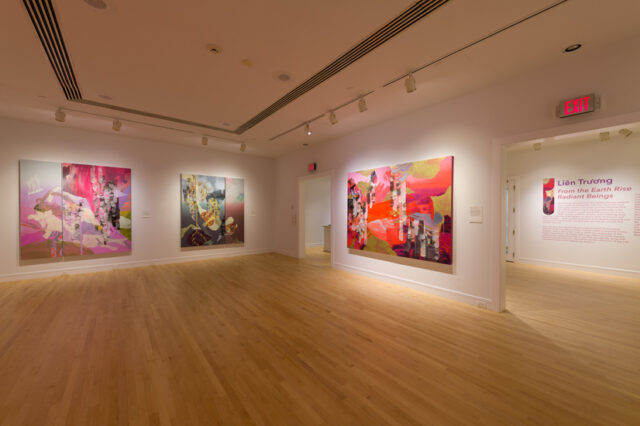 Liên Trương, installation view of From the Earth Rise Radiant Beings