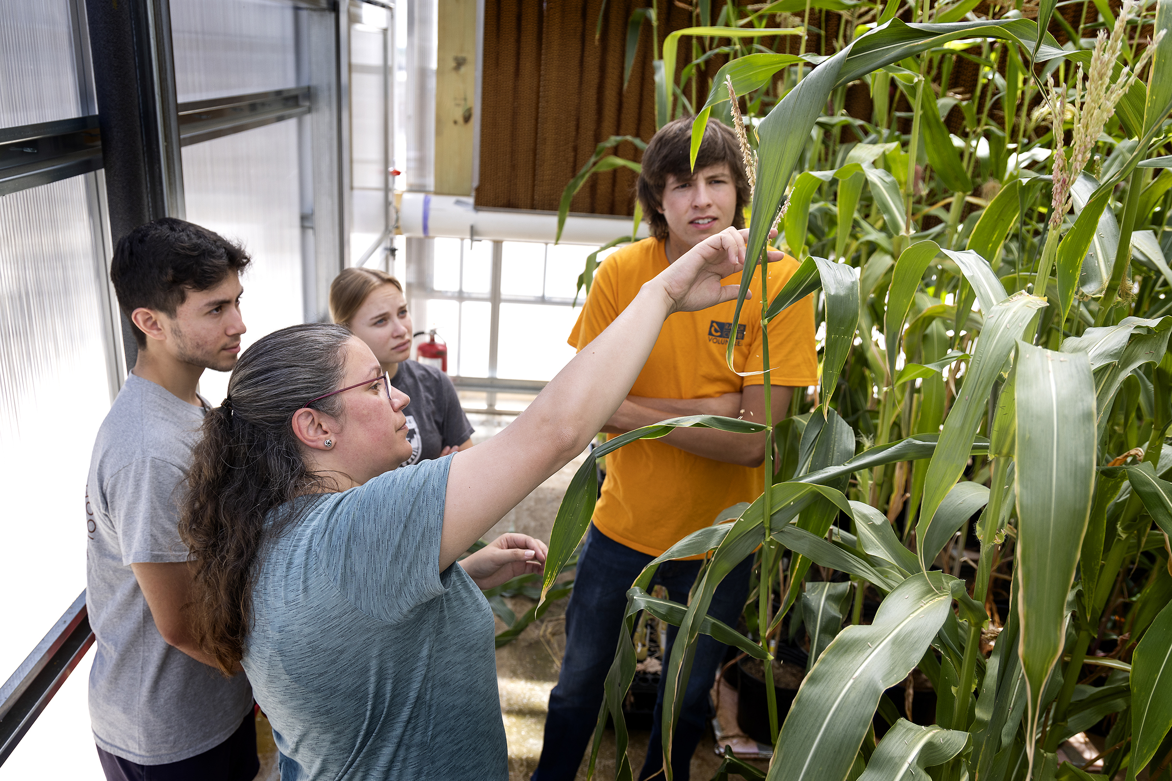 Dr. Susan Wadgymar with students in greenhouse