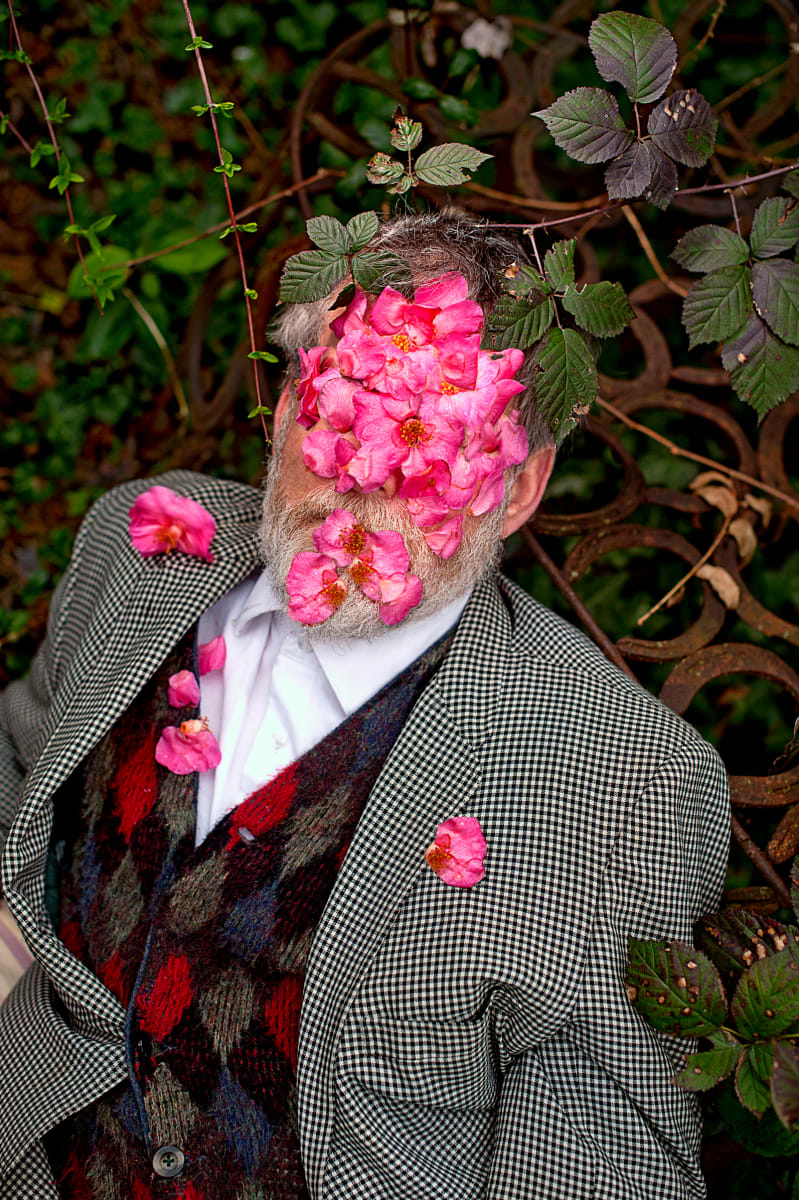 Seen on Campus: A Shatter of Camellia Blooms Arranged Themselves over Tom’s Face