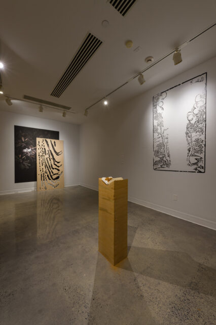 Lorena Mal, installation view of Witness Trees