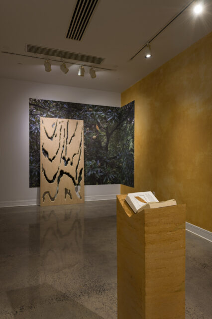 Lorena Mal, installation view of Witness Trees