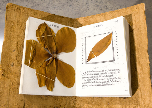 Lorena Mal, Psalmodia Naturalis page