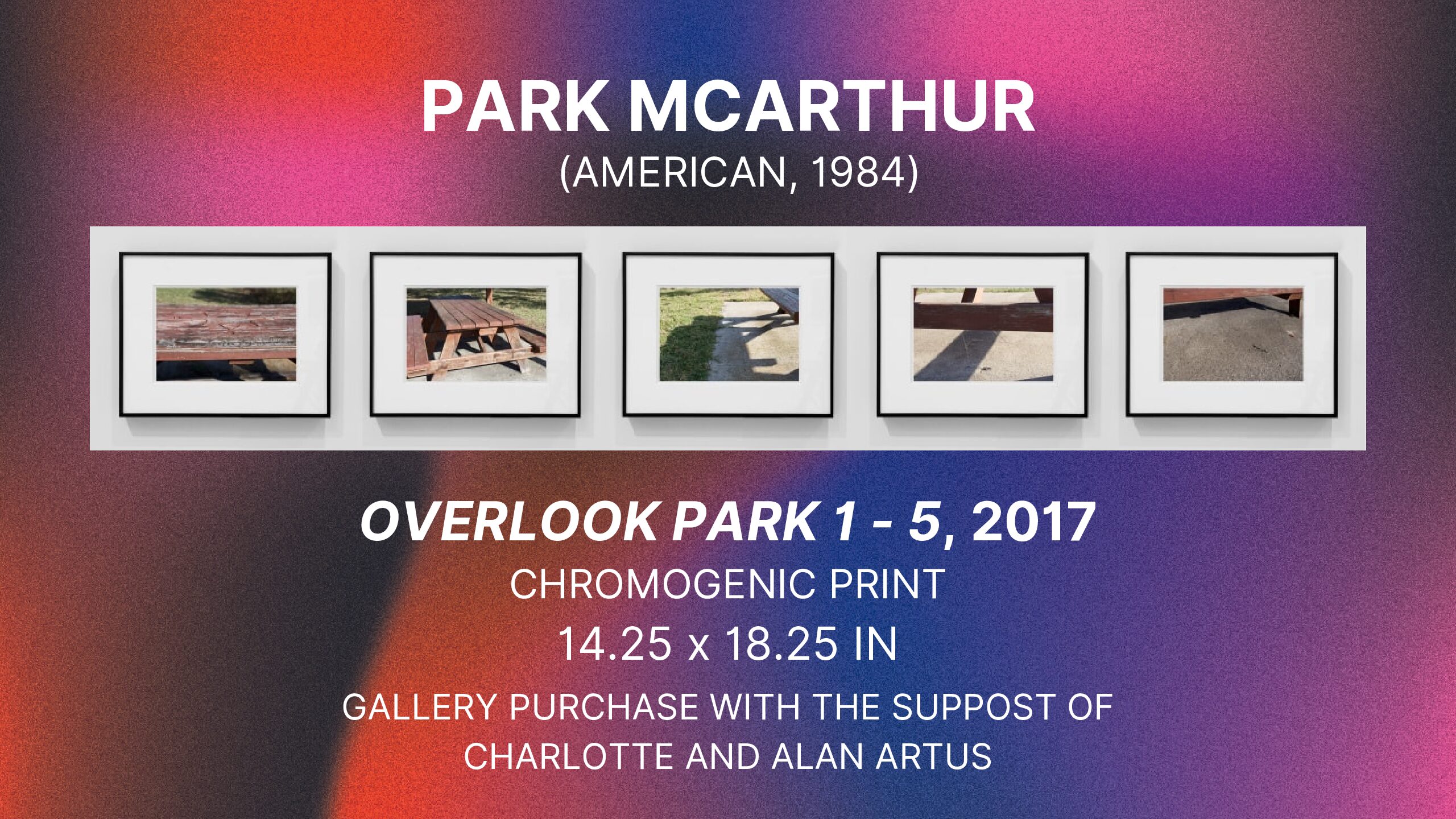 PROFS TALK ART: Dr. Ann Fox