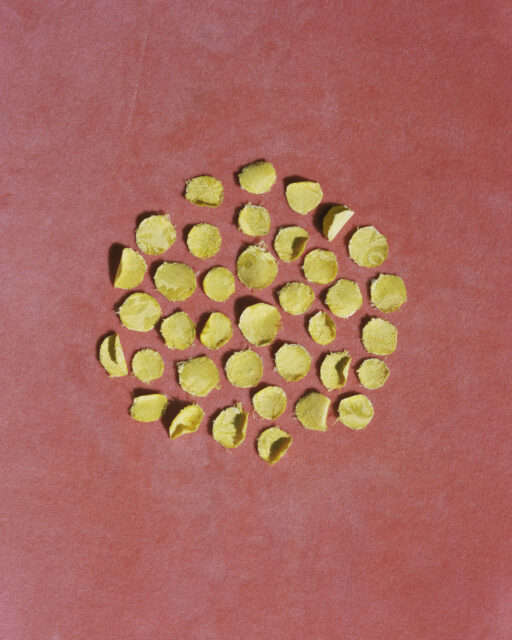 Photograph of yellow circular textile cutouts by Malu Alvarez