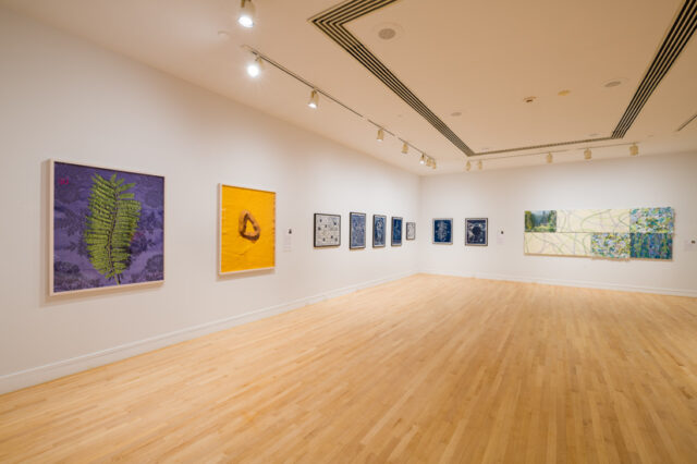 Left: prints by Malú Alvarez, Middle: cyanotypes by Elijah Gowin, Right: mixed media installation by Susan Norman McAlister