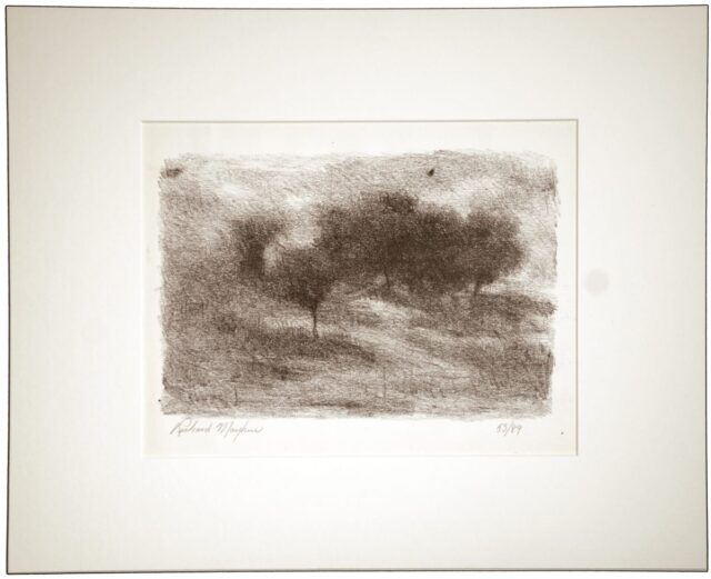 Black and white sketch of several trees on a hill