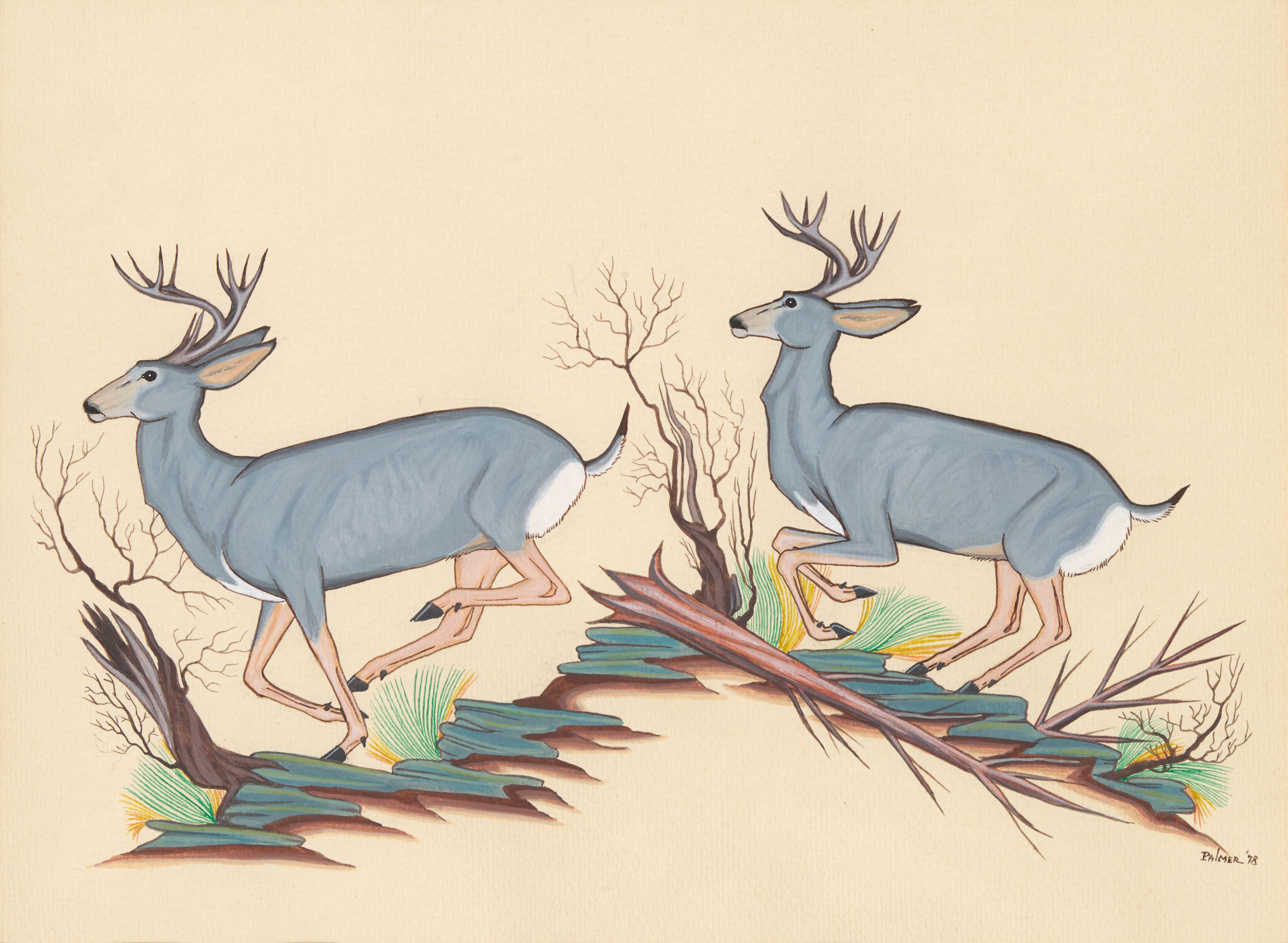 Seen in Storage: Deer by Ignatius Palmer