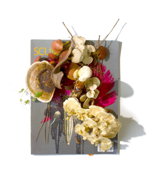 artwork of a mushroom on top of a magazine cover