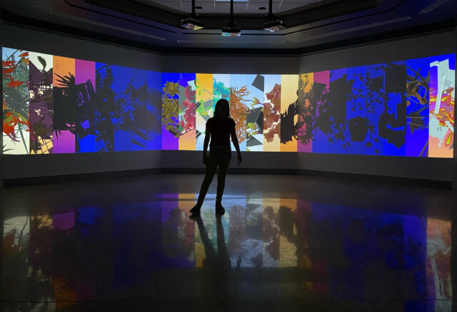 Silhouette of a woman in front of a multi-colored video projection showing plants and artchitecture